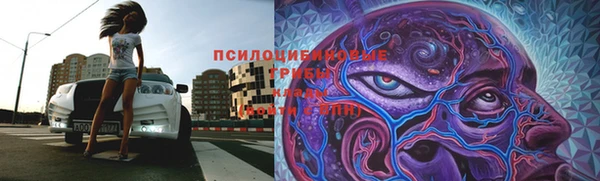ешки Богородицк