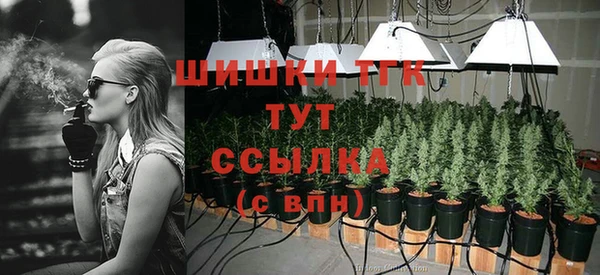 гашик Пролетарск