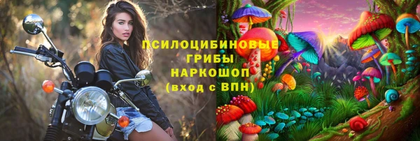 индика Беломорск