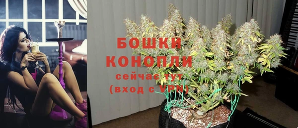 мяу мяу мука Богданович