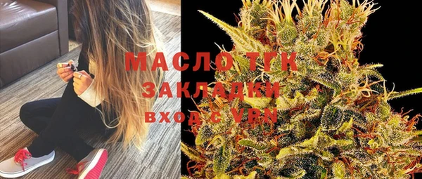 индика Беломорск