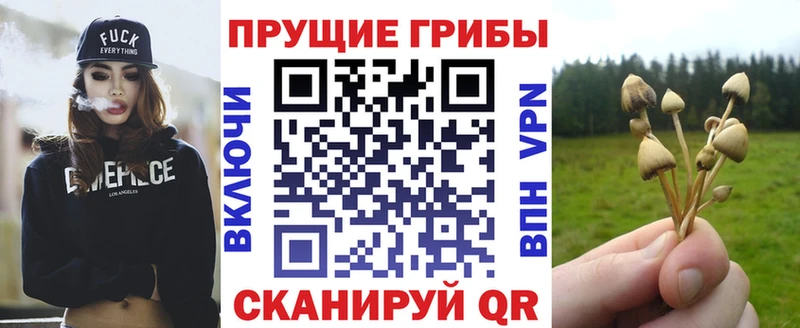 Псилоцибиновые грибы ЛСД  где купить наркотик  Ковылкино 