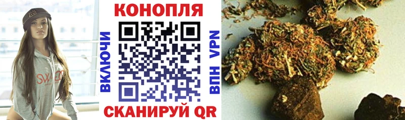 где купить   Ковылкино  нарко площадка официальный сайт  Бошки марихуана тримм 
